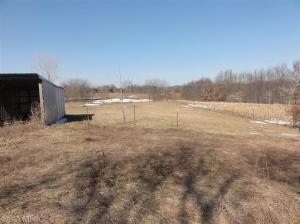 9502 Richmond Rd, Belding, MI 48809 photo 10