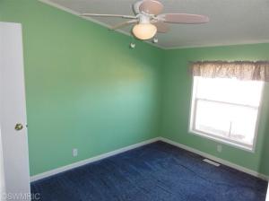 9502 Richmond Rd, Belding, MI 48809 photo 13