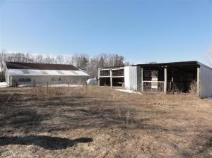 9502 Richmond Rd, Belding, MI 48809 photo 9