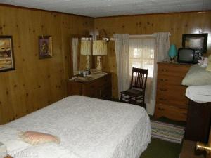 4603 N Able Rd, Irons, MI 49644 photo 12