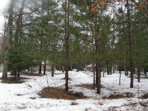 4603 N Able Rd, Irons, MI 49644 photo 20