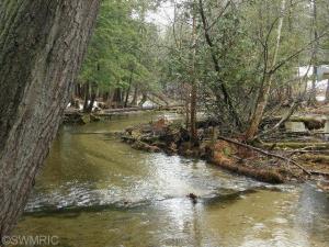 4603 N Able Rd, Irons, MI 49644 photo 15