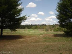 4923 E 48th St, Newaygo, MI 49337 photo 21