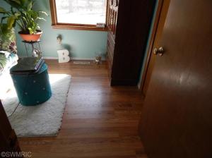 3941 Orshal Rd, Whitehall, MI 49461 photo 22