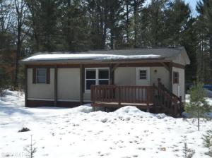 1325 W 36th St, Baldwin, MI 49304 photo 1
