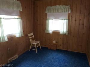 351 W Harbison Dr, Bitely, MI 49309 photo 17