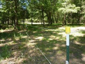 4256 E 48th St, Newaygo, MI 49337 photo 23