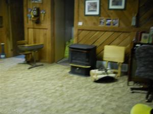 11985 Old Belding Rd NE, Belding, MI 48809 photo 16