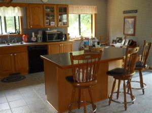 11985 Old Belding Rd NE, Belding, MI 48809 photo 7