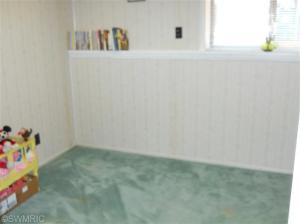 11985 Old Belding Rd NE, Belding, MI 48809 photo 17