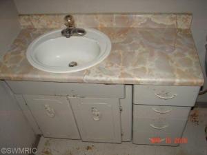 159 Smith St, Coldwater, MI 49036 photo 7