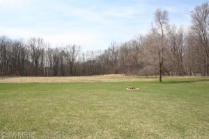 581 Schaeffer Dr, Coldwater, MI 49036 photo 3