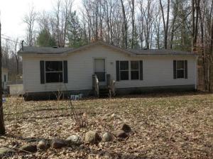 1866 E 24th St, White Cloud, MI 49349 photo 1