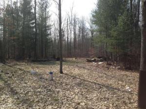 1866 E 24th St, White Cloud, MI 49349 photo 4