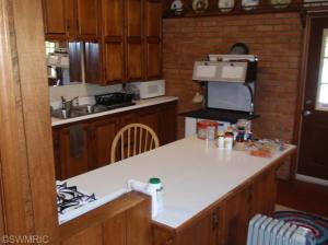 218 E Main St, Mendon, MI 49072 photo 8