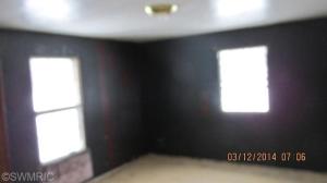 1228 Tamarack Rd, Edmore, MI 48829 photo 6