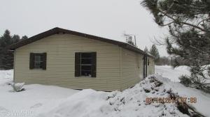 1228 Tamarack Rd, Edmore, MI 48829 photo 2