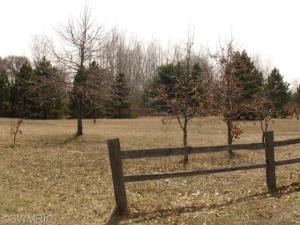 4599 E One Mile Rd, White Cloud, MI 49349 photo 19