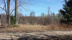 1248 Channel Dr, Bitely, MI 49309 photo 12