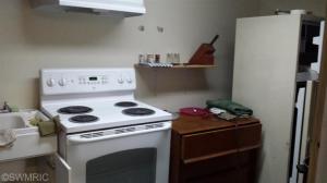 1248 Channel Dr, Bitely, MI 49309 photo 5