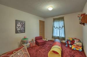 7492 Pine Ridge Dr NE, Belding, MI 48809 photo 23