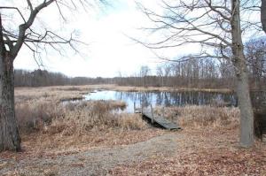 56506 M 40, Marcellus, MI 49067 photo 17