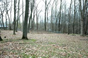 15029 Doster Rd, Plainwell, MI 49080 photo 19