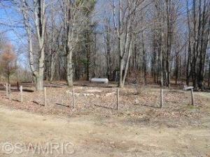 6242 E 88th St, Newaygo, MI 49337 photo 13