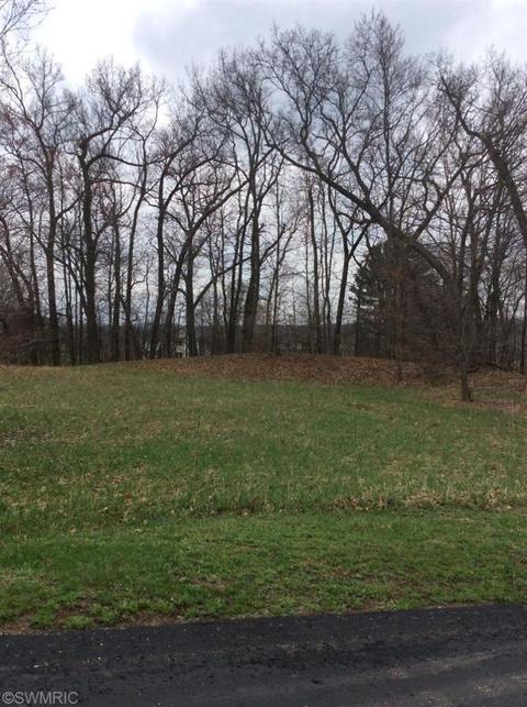 8488 Longleaf Dr SE, Ada, MI 49301 photo 1