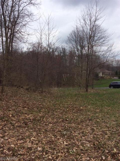 8488 Longleaf Dr SE, Ada, MI 49301 photo 2
