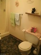 520 S First St, Edmore, MI 48829 photo 8