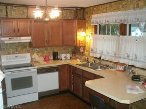 520 S First St, Edmore, MI 48829 photo 2