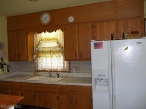 120 E Southeastern Ave, Galien, MI 49113 photo 11