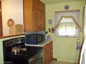 120 E Southeastern Ave, Galien, MI 49113 photo 10