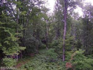 121 N Maple Rd, Branch, MI 49402 photo 11
