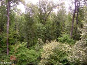 121 N Maple Rd, Branch, MI 49402 photo 3