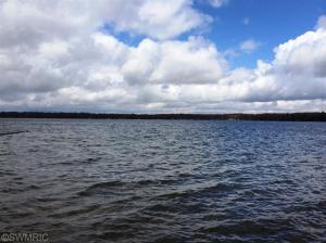 2036 Wolf Lake Dr, Baldwin, MI 49304 photo 4