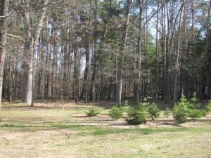 6610 Marsh Rd, Plainwell, MI 49080 photo 4