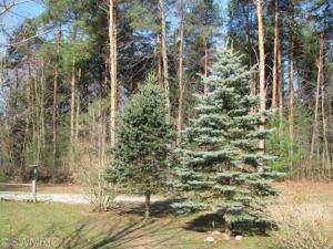 6610 Marsh Rd, Plainwell, MI 49080 photo 5