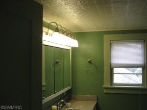 224 Maple, Lowell, MI 49331 photo 19
