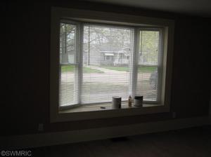 224 Maple, Lowell, MI 49331 photo 10