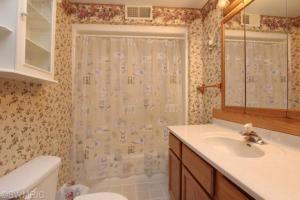 442 W Bridge St, Lyons, MI 48851 photo 15