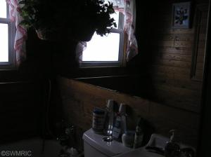 576 E Main, Saranac, MI 48881 photo 6