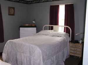 576 E Main, Saranac, MI 48881 photo 3