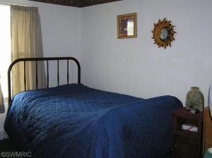 576 E Main, Saranac, MI 48881 photo 4