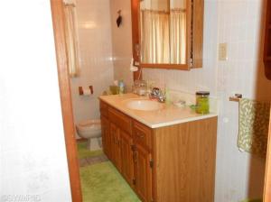 9185 Wagar, Lyons, MI 48851 photo 15