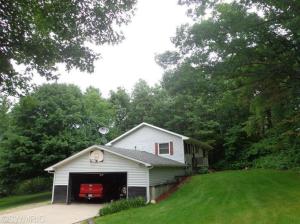 9185 Wagar, Lyons, MI 48851 photo 1