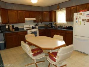 9185 Wagar, Lyons, MI 48851 photo 6