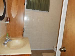 9185 Wagar, Lyons, MI 48851 photo 16