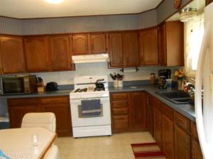 9185 Wagar, Lyons, MI 48851 photo 5